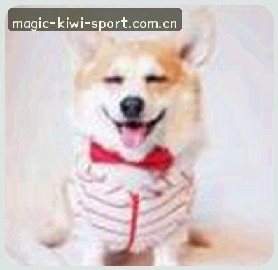 张猛
